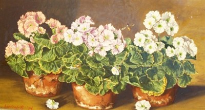 Lot 72 - Sondra Lipton American, 20th Century Still...