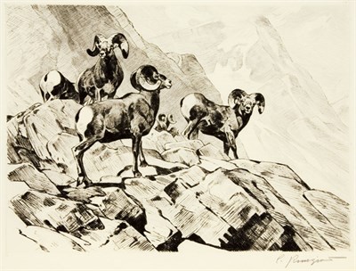 Lot 3413 - Carl Rungius AMONG THE CRAGS (C. 33) Etching...