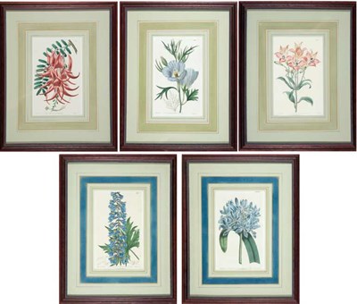 Lot 3108 - J. Ridgway, publisher [FLOWER STUDIES] Two...