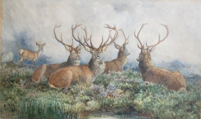 Lot 117 - Edward Neale British, fl. 1858-1881 Herd of...