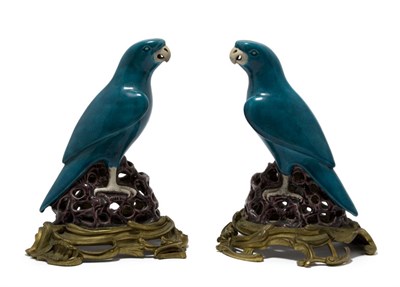 Lot 3432 - Pair of French Blue Ceramic Figures of Parrots