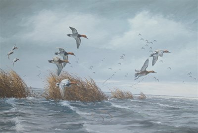 Lot 133 - David A. Maass American, b. 1929 Canvasbacks...