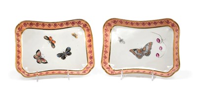 Lot 3570 - Pair of English Porcelain Butterfly Decorated...