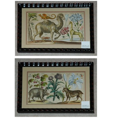 Lot 61 - Wenzel Hollar [ANIMAL AND FLOWER STUDIES] Six...