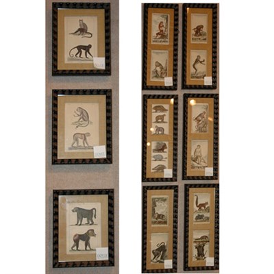 Lot 60 - Artist Unknown [MONKEY STUDIES] Eleven...