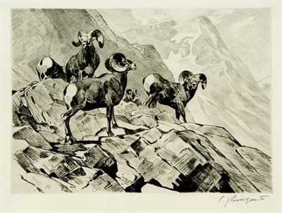 Lot 383 - Carl Rungius AMONG THE CRAGS (C. 33) Etching...