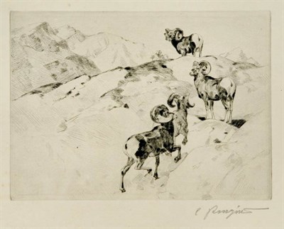 Lot 377 - Carl Rungius (1869-1959) ALARMED (CROUCH 6)...