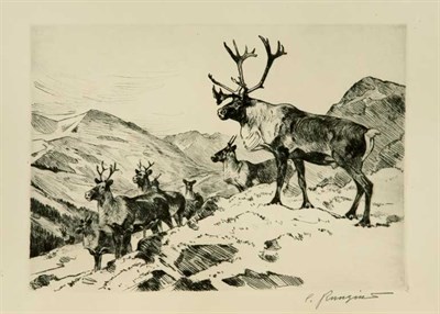 Lot 381 - Carl Rungius MOUNTAIN CARIBOU (C. 29) Etching...