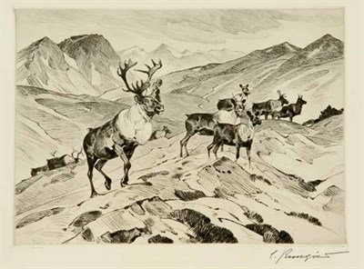 Lot 384 - Carl Rungius ABOVE TIMBERLINE (C. 40) Etching...