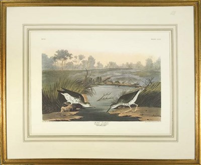 Lot 3107 - After John James Audubon SPOTTED SANDPIPER...