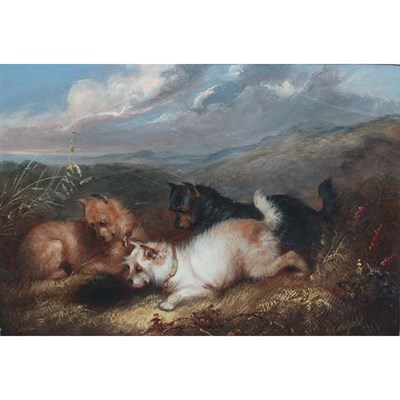 Lot 53 - George Armfield British, 1808-1893 Terriers at...
