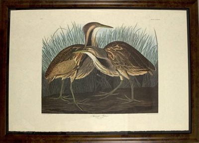 Lot 95 - After John James Audubon AMERICAN BITTERN...