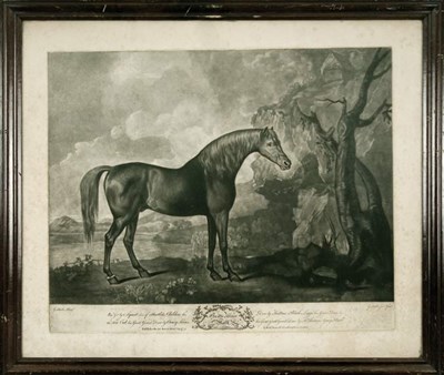 Lot 32 - After George Stubbs BROWN HORSE MASK Mezzotint...