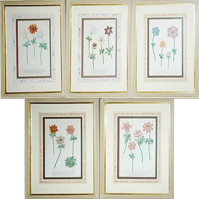 Lot 77 - After Johann Weinmann [FLORAL STUDIES] Five...
