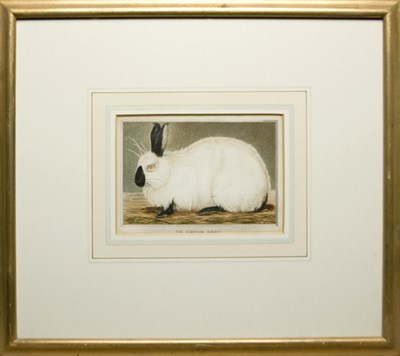 Lot 82 - After H. White THE SIBERIAN RABBIT...