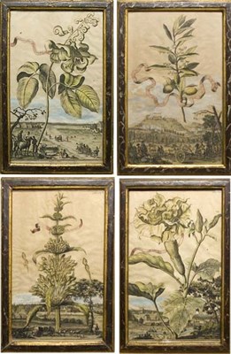 Lot 76 - Artist Unknown [PLANT AND LANDSCAPE STUDIES]...