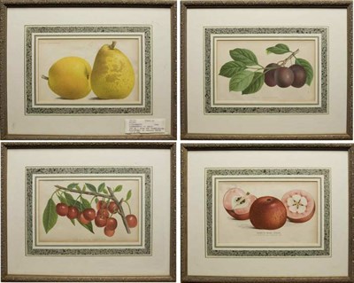 Lot 86 - P. de Pannemaeker [FRUIT STUDIES] Seven...