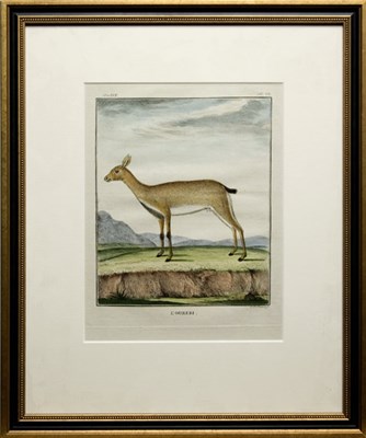 Lot 75 - After Jacques de Seve L'OUREBI Hand-colored...