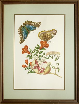 Lot 79 - After Maria Sybilla Merian [BUTTERFLIES AND...