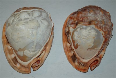 Lot 228 - Two Shell Cameos One depicting a female...
