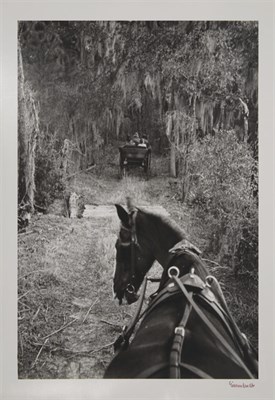 Lot 229 - EISENSTAEDT, ALFRED (1898-1995) Deer Hunting...