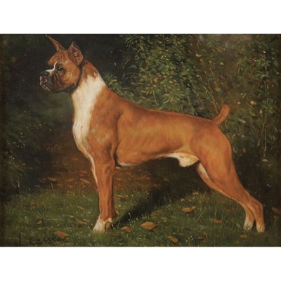 Lot 87 - L. Cassidy 20th Century Boxer Signed L....
