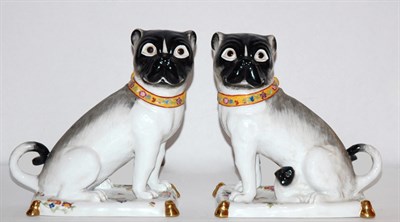 Lot 274 - Pair of Sevres Porcelain Pugs Height 8 inches.