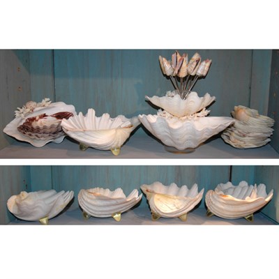Lot 270 - Group of Shell and Faux Shell Dishes; Together...