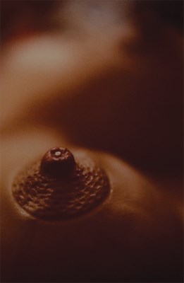 Lot 213 - SHERMAN, CINDY (b. 1954) Untitled [Nipple with...