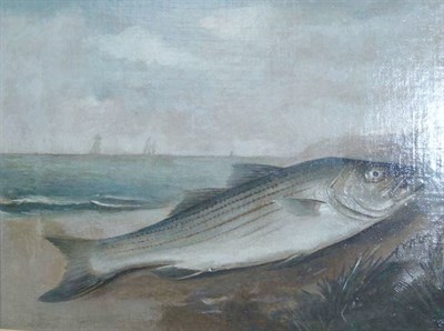Lot 25 - American School 19th/20th Century A Fish on...