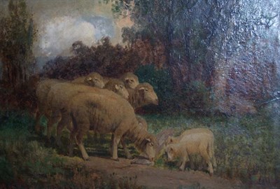 Lot 45 - Charles T. Phelan American, b. 1840 Sheep...