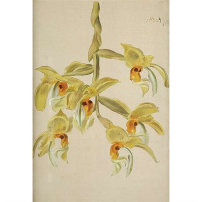 Lot 6 - William Jacob Hays, Sr. American, 1830-1875...