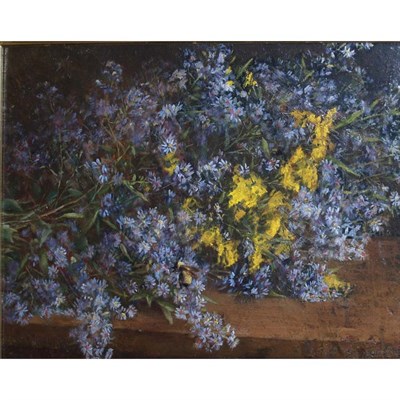 Lot 29 - American School 19th/20th Century Wild Asters...