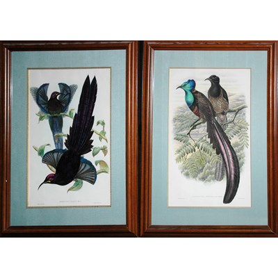 Lot 89 - After John James Audubon [BIRDS] Six color...