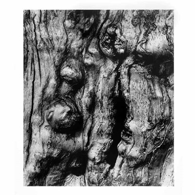 Lot 79 - SISKIND, AARON (1903-1991) Millerton 1971....