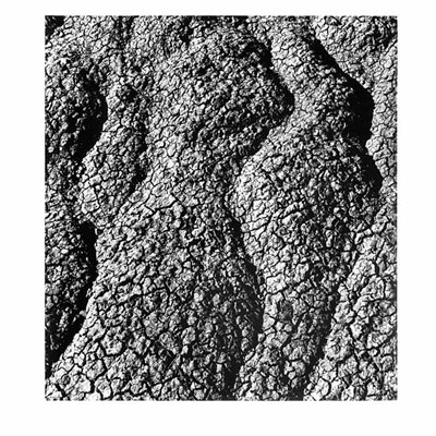 Lot 56 - SISKIND, AARON (1903-1991) Bad Lands 1970....