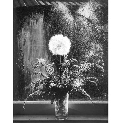 Lot 7 - CAPONIGRO, PAUL (b. 1932) [Floral]. Silver...
