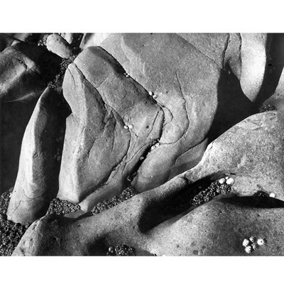 Lot 3 - ADAMS, ANSEL (1902-1984) Rocks and Limpets....