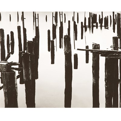 Lot 109 - WESTON, BRETT (1911-1993) [Pilings]. Silver...