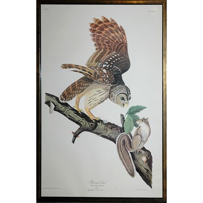 Lot 86 - After John James Audubon BARRED OWL Color...