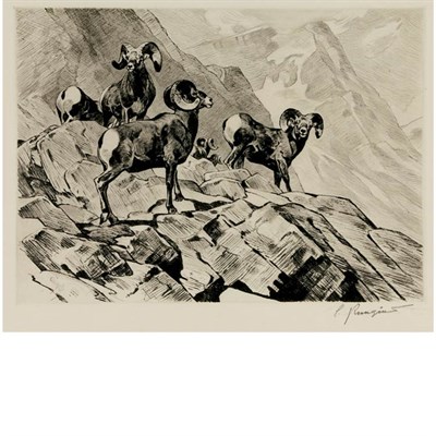 Lot 504 - Carl Rungius AMONG THE CRAGS (C. 33) Etching...