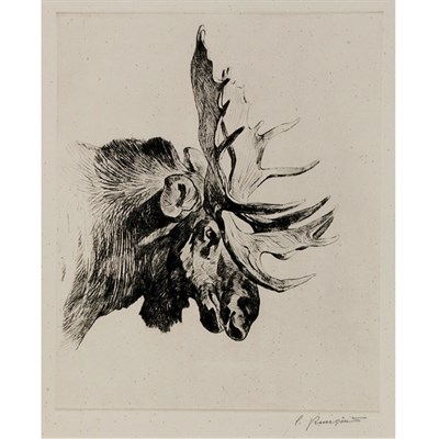 Lot 500 - Carl Rungius OLD BULL (C. 15) Etching and...