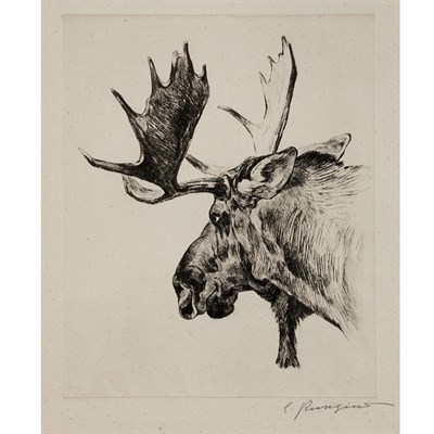 Lot 501 - Carl Rungius YOUNG BULL (C. 16) Etching and...