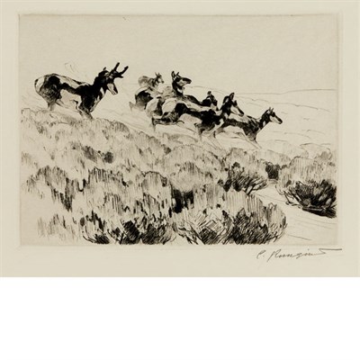 Lot 502 - Carl Rungius ANTELOPE (C. 18) Etching and...