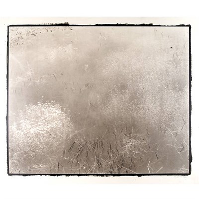 Lot 31 - KURITA, KOICHIRO In a meadow, Wales....