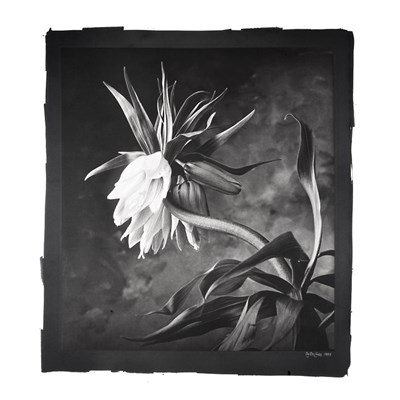 Lot 18 - DE COSSE, CY (b. 1929) Group of two...