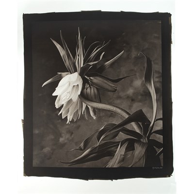 Lot 21 - DE COSSE, CY (b. 1929) Group of four...