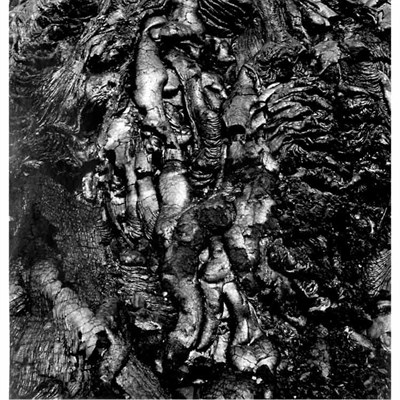 Lot 85 - SISKIND, AARON (1903-1991) Volcano 50 1980....