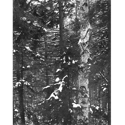 Lot 15 - CLIFT, WILLIAM (b. 1944) Group of ten images....