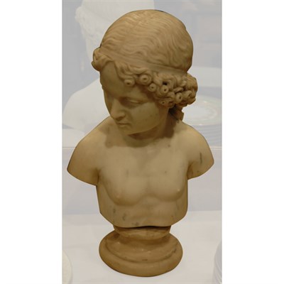 Lot 487 - Marble Bust of a Youth Height 18 inches.